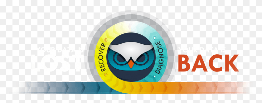 1400x485 Círculo, Animal, Pájaro, Pico Hd Png