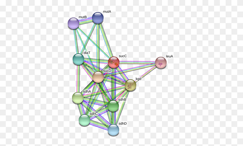 377x446 Circle, Network, Sphere, Diagram HD PNG Download
