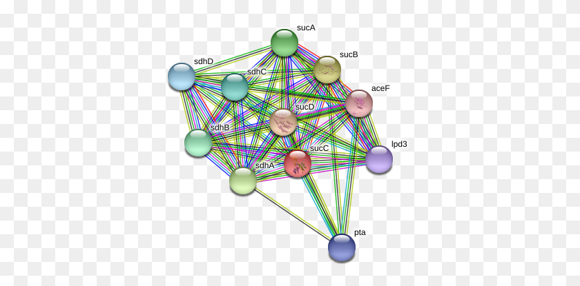 359x355 Circle, Network, Sphere, Balloon HD PNG Download