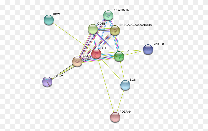503x468 Circle, Network, Diagram, Building HD PNG Download