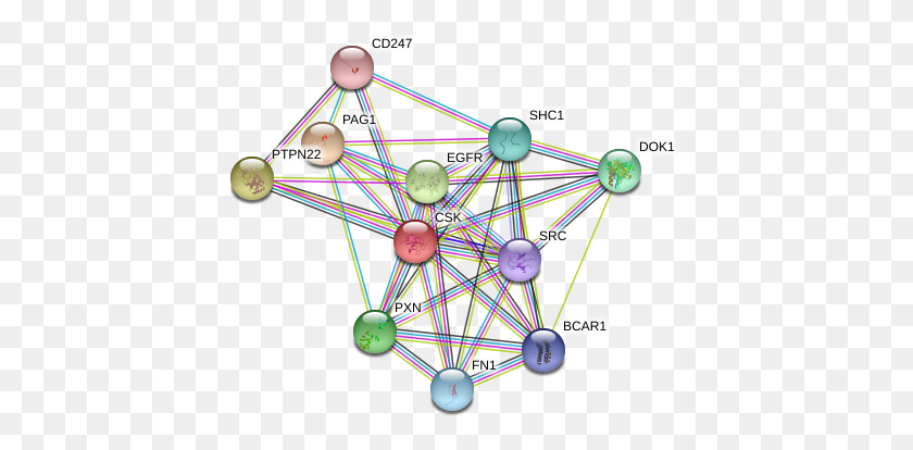 421x354 Circle, Network, Diagram, Sphere HD PNG Download