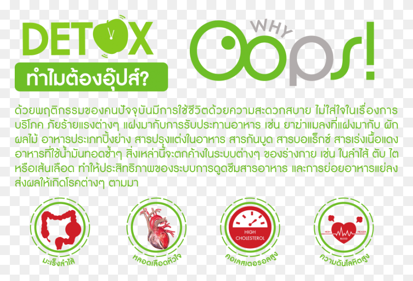 848x558 Circle, Flyer, Poster, Paper HD PNG Download