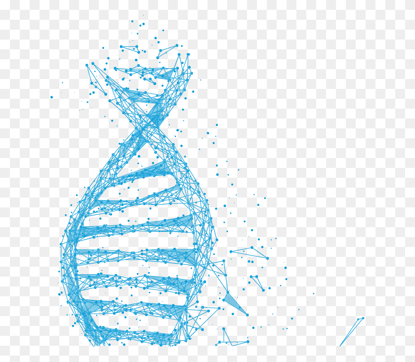 636x673 Círculo, Agua Hd Png