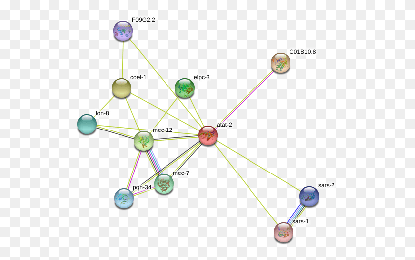 534x466 Circle, Network, Diagram HD PNG Download