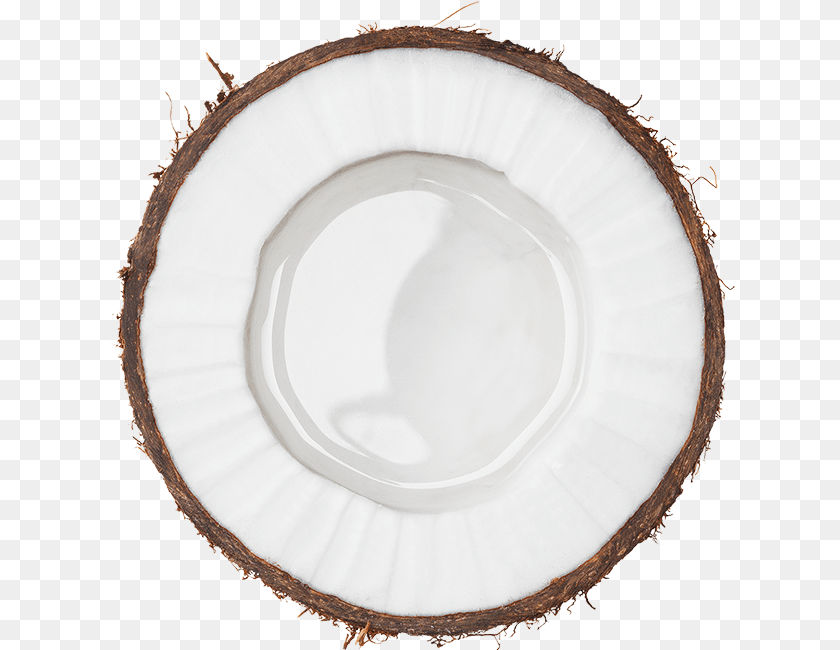 629x650 Circle, Coconut, Food, Fruit, Plant Sticker PNG