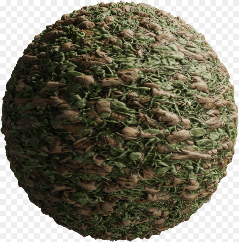 Circle, Sphere, Plant Clipart PNG