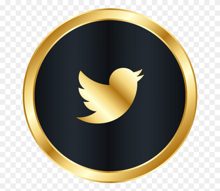 669x669 Circle White Twitter Icon, Logo, Symbol, Trademark HD PNG Download