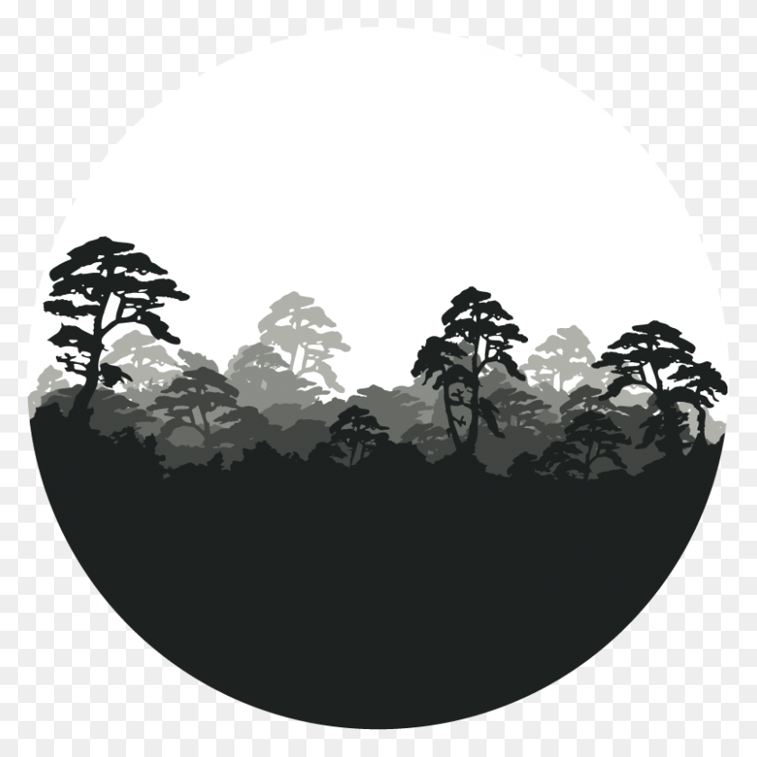 801x801 Круговой Логотип Лесной Логотип, Дерево, Растение Hd Png Скачать