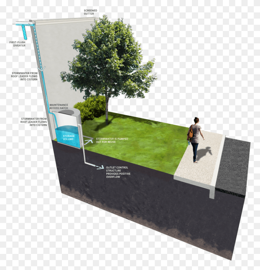 803x836 Cistern Components Drainage Detention Basin, Grass, Plant, Person HD PNG Download