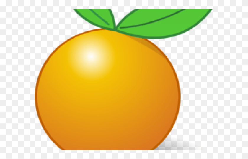 605x481 Citrus Clipart Orange Slice Fruit, Plant, Citrus Fruit, Food HD PNG Download
