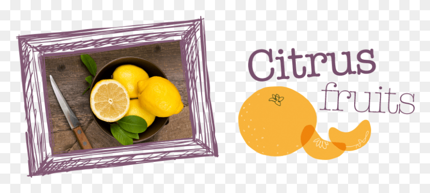 806x329 Citrus Fruit Sweet Lemon, Citrus Fruit, Plant, Food HD PNG Download