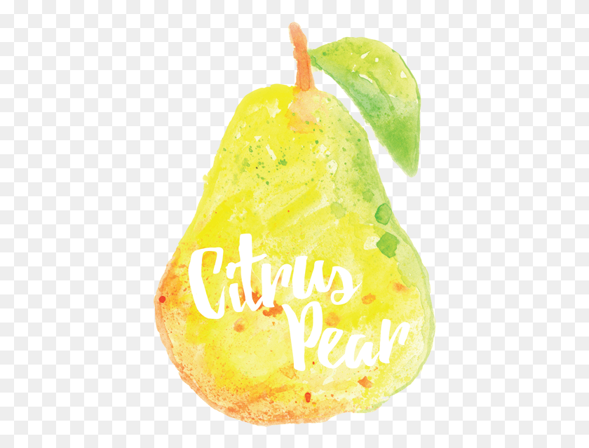 404x579 Citrus Pear Logo Natural Foods, Plant, Fruit, Food HD PNG Download