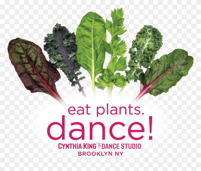 802x675 Ckds Shirt Artboard 1 Copy 3 Ckds Plants Social5 Ckds Vegetable, Plant, Kale, Cabbage HD PNG Download