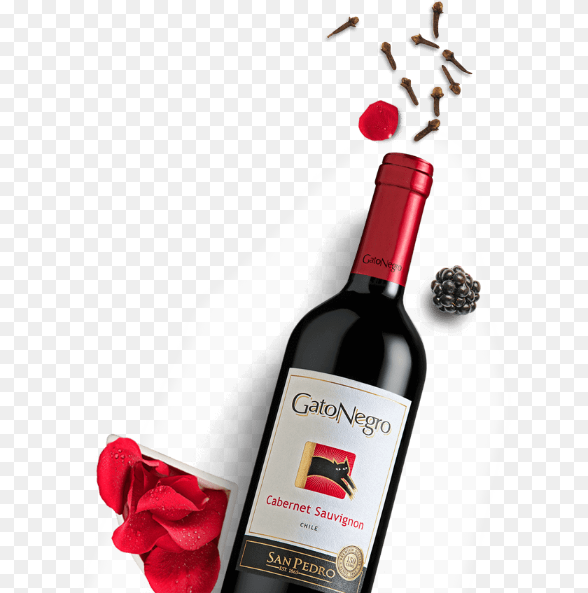 Claim Logo Wine Bottle, Alcohol, Wine Bottle, Liquor, Beverage Clipart PNG