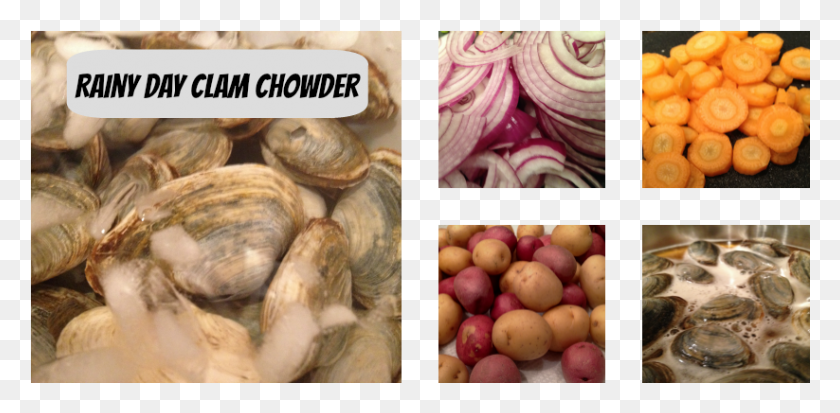 823x373 Clam Chowder Shallot, Plant, Food, Produce HD PNG Download