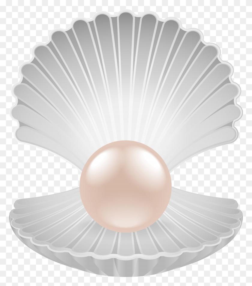 6829x7803 Clam With Pearl Transparent Clip Art Image, Jewelry, Accessories, Accessory HD PNG Download