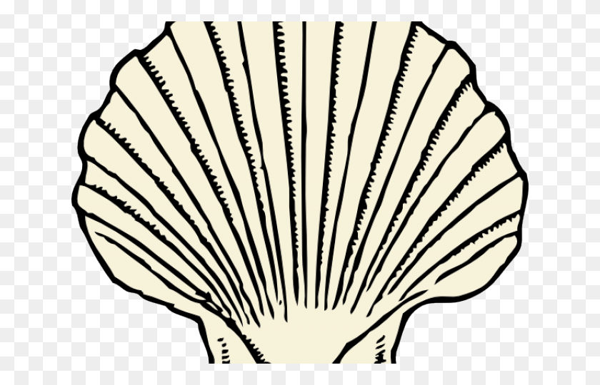 640x480 Clams Clipart Scallop Shell Shell Clipart Black And White, Clam, Seashell, Invertebrate HD PNG Download