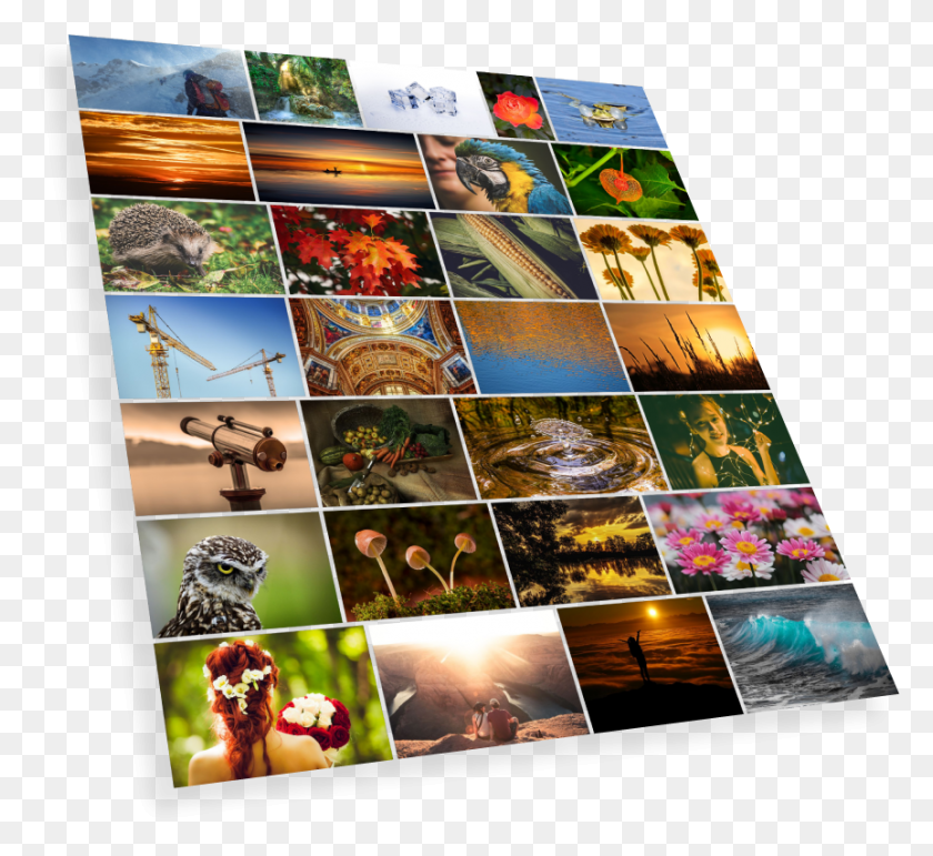 862x786 Claro Also Offers Flexible Workflow Options Collage, Poster, Advertisement, Person HD PNG Download