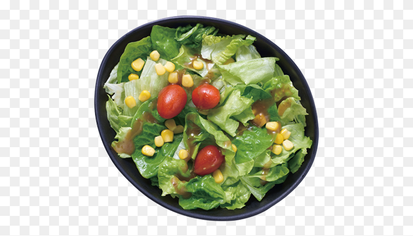 459x421 Classic Green Salad Garden Salad, Plant, Dish, Meal HD PNG Download
