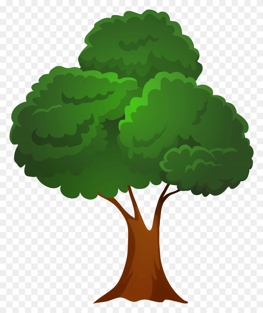 6595x7931 Classic Green Tree Clip Art, Plant, Vegetable, Food HD PNG Download