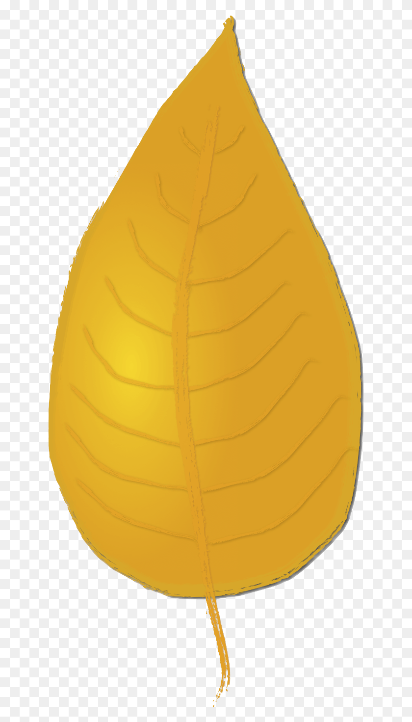 645x1411 Classroom Yellow Birch Leaf Clip Art, Plant, Vegetable, Food HD PNG Download