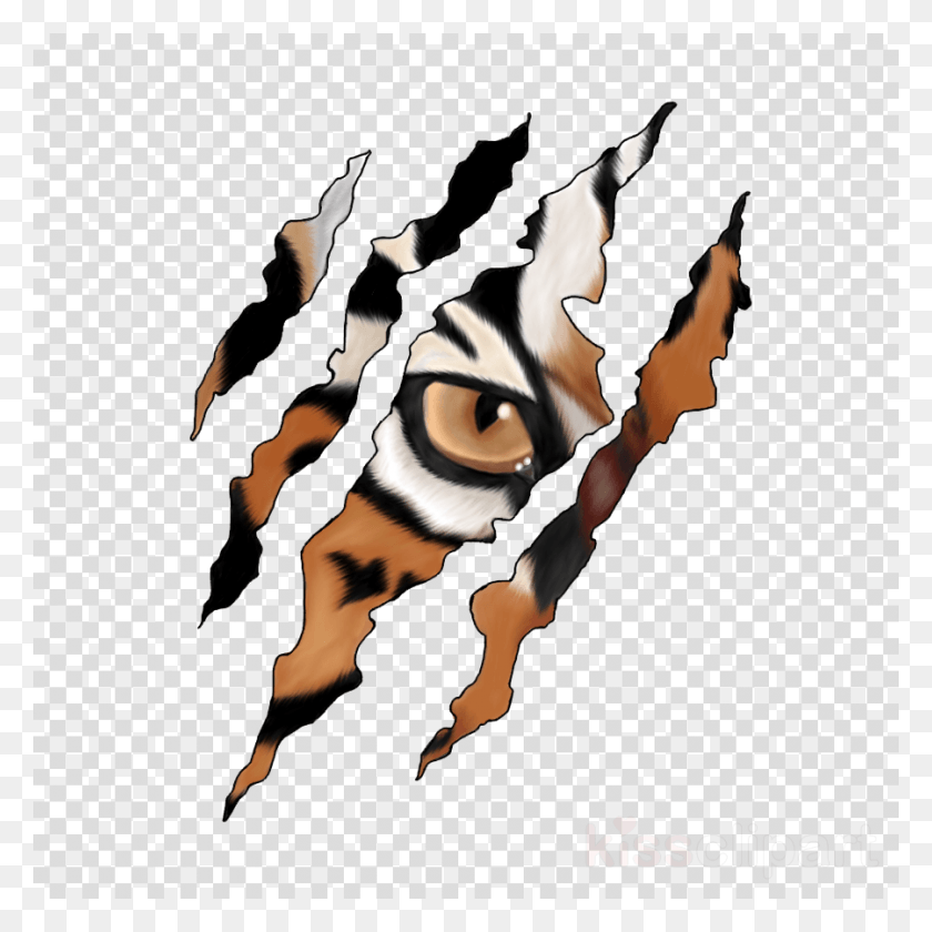 900x900 Claw Free Photo Tiger Scratch, Texture, Person, Human HD PNG Download