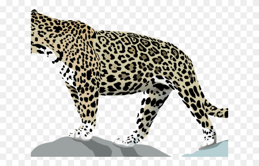 640x480 Claw Scratch Clipart Jaguar Jaguar Animal, Panther, Wildlife, Mammal HD PNG Download