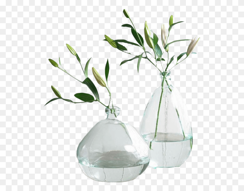 546x600 Clear Recycled Glass Balloon Vases Recycled Glass Balloon Vases, Plant, Potted Plant, Vase HD PNG Download