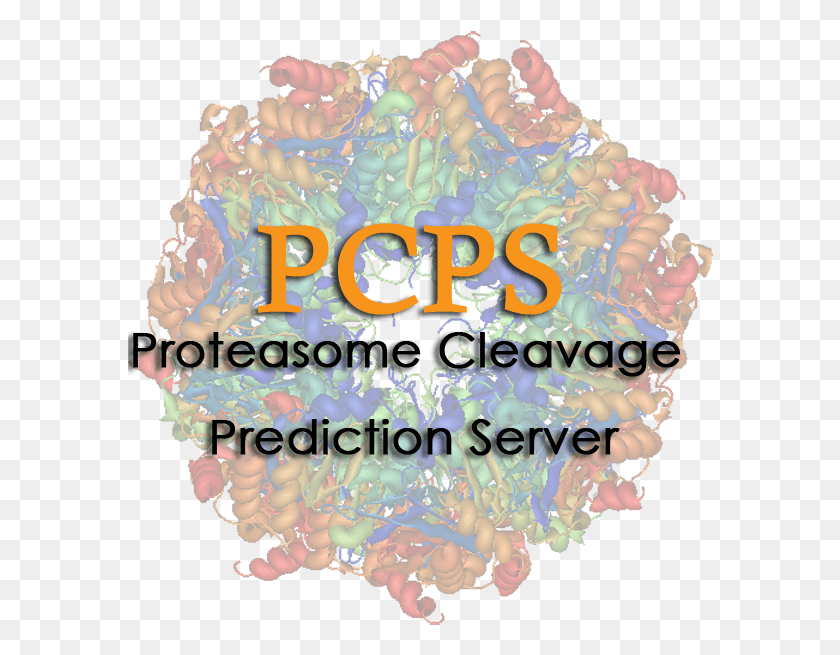 586x595 Cleavage Models Proteasome, Birthday Cake, Cake, Dessert HD PNG Download