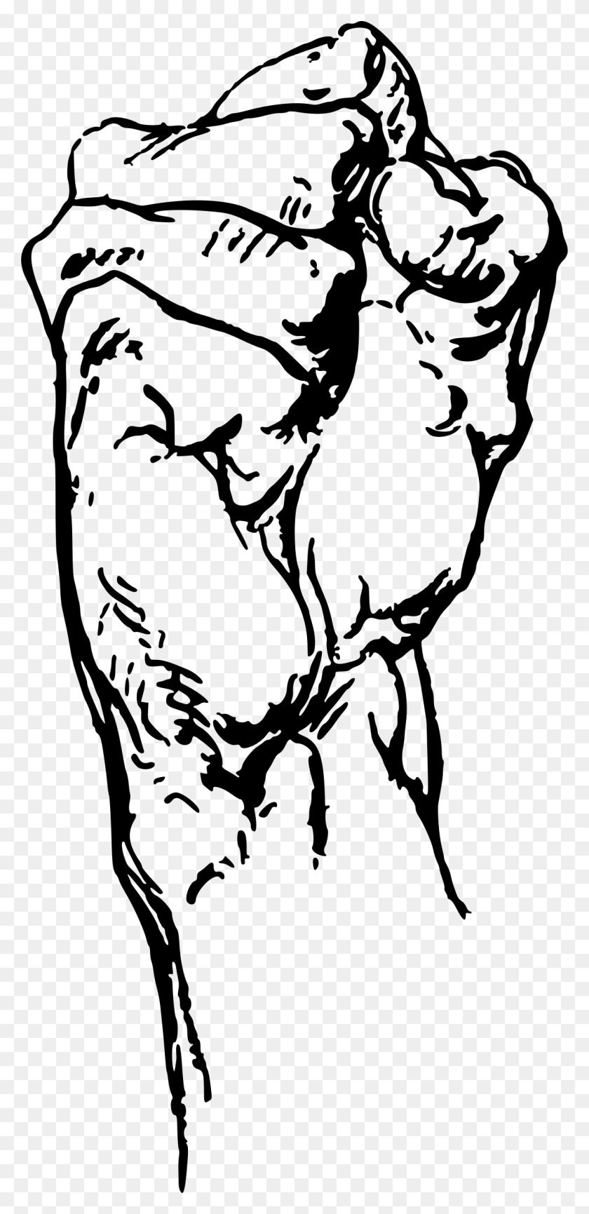 1111x2381 Анатомический Рисунок Сжатого Кулака, Серый, Мир Варкрафта Png Скачать
