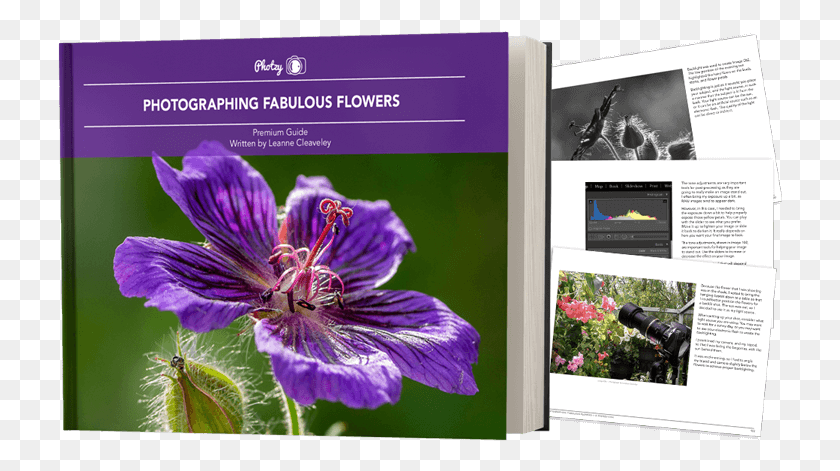 725x411 Click Add To Cart Now To Get Your Copy Of Fabulous Geranium Cinereum, Flower, Plant, Blossom HD PNG Download