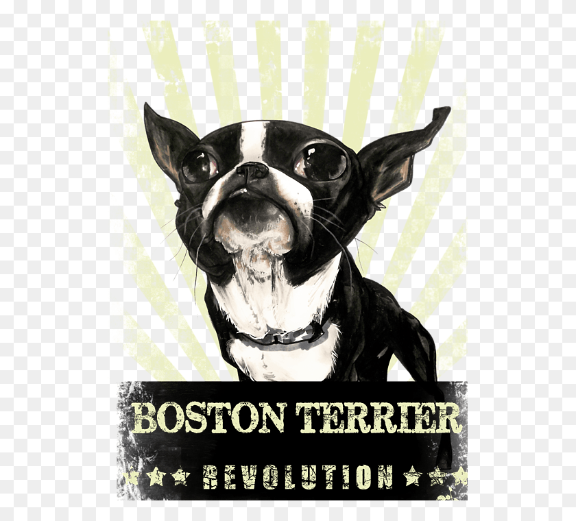 525x700 Click And Drag To Re Position The Image If Desired Boston Terrier, Advertisement, Poster, Dog HD PNG Download