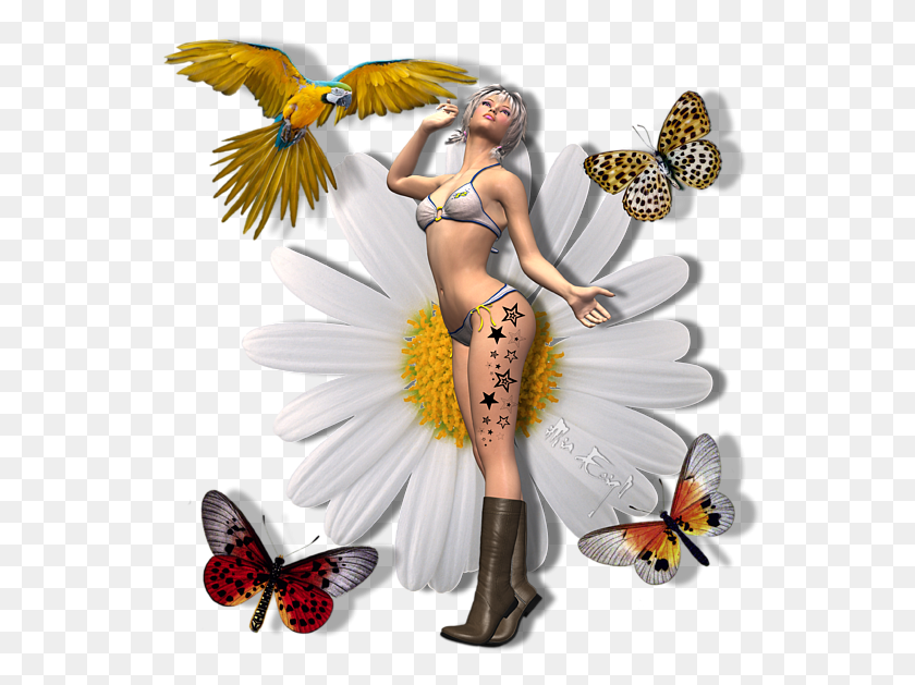 556x569 Click And Drag To Re Position The Image If Desired Brush Footed Butterfly, Person, Human, Plant Descargar Hd Png