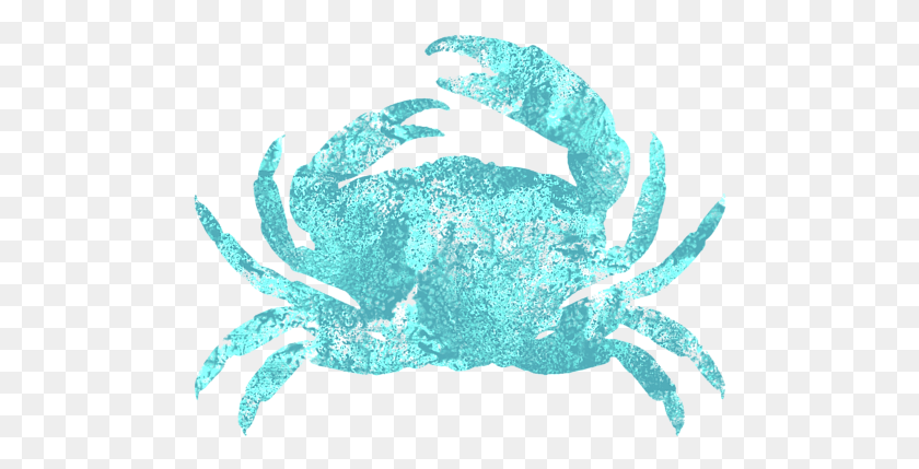 488x369 Click And Drag To Re Position The Image If Desired Dungeness Crab, Animal, Sea Life, Food HD PNG Download