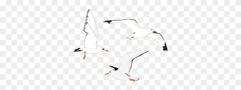 329x256 Click And Drag To Re Position The Image If Desired European Herring Gull, Flying, Bird, Animal Descargar Hd Png