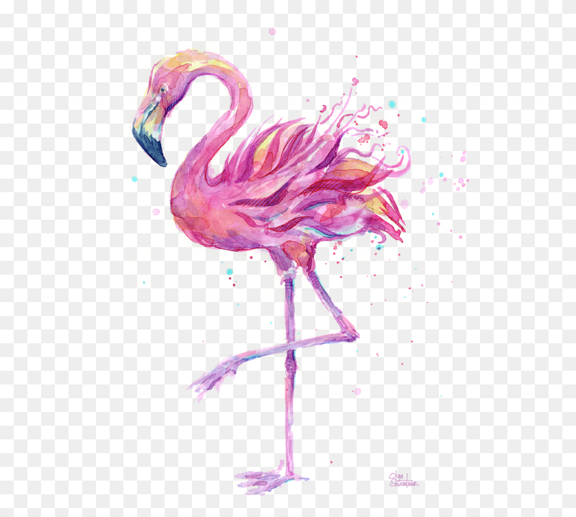 532x693 Haga Clic Y Arrastre Para Reposicionar La Imagen Si Lo Desea Flamingo Acuarela Olga Shvartsur, Bird, Animal, Sea Life Hd Png Descargar