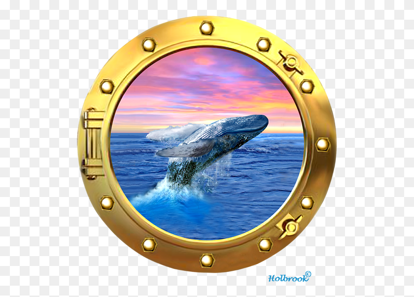 529x543 Click And Drag To Re Position The Image If Desired Humpback Whale Breaching At Sunset, Window, Porthole, Sunglasses HD PNG Download