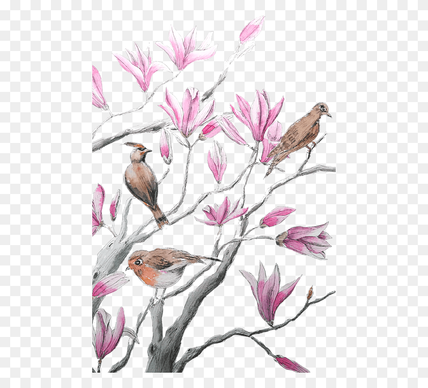 478x700 Click And Drag To Re Position The Image If Desired Magnolia, Plant, Bird, Animal Descargar Hd Png