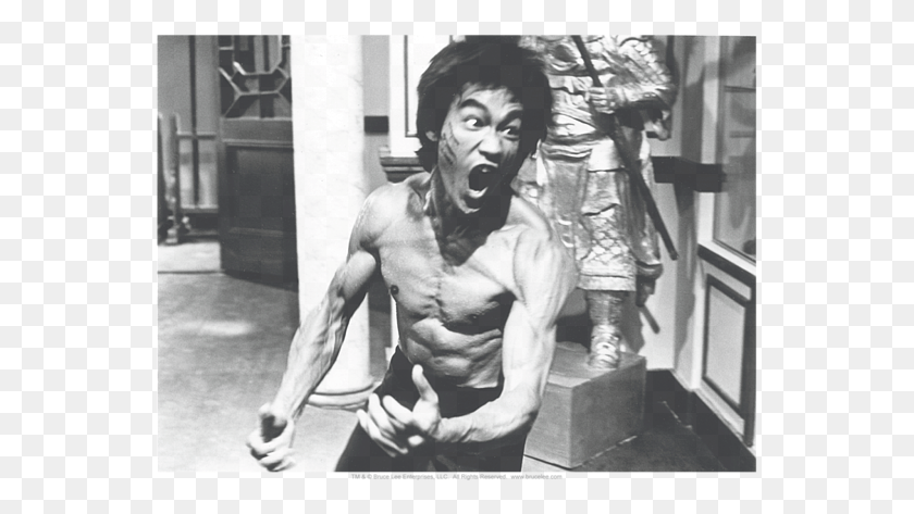 553x413 Click And Drag To Re Position The Image If Desired Not What You Give It How You Give It Bruce Lee, Person, Human, Man HD PNG Download