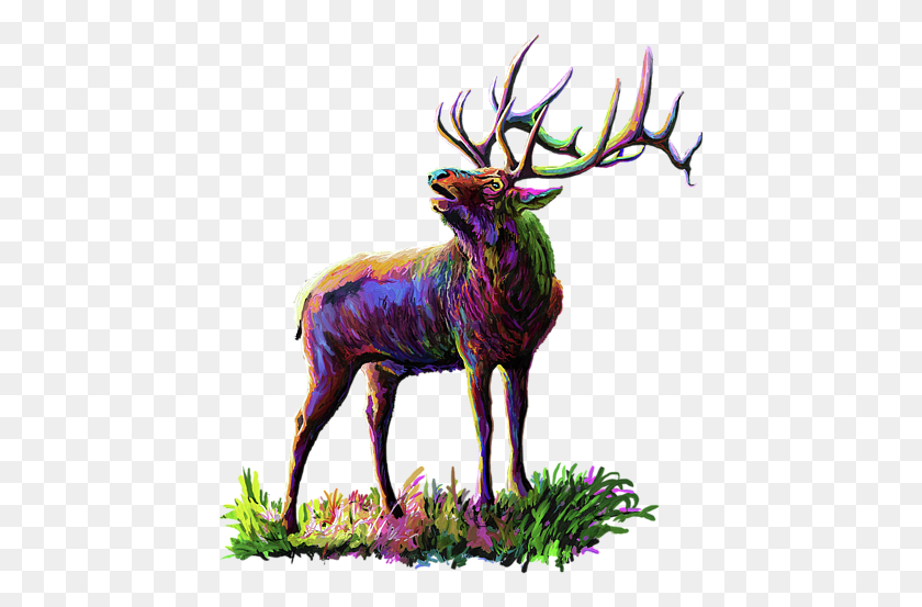 443x493 Click And Drag To Re Position The Image If Desired Reindeer, Elk, Deer, Wildlife HD PNG Download
