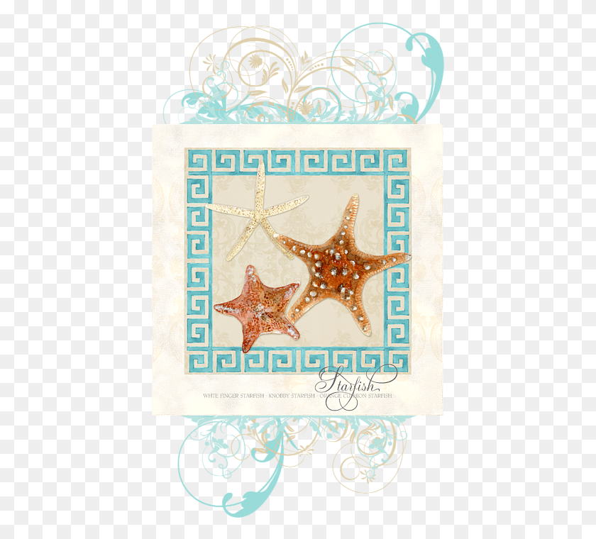 413x700 Click And Drag To Re Position The Image If Desired Seashell, Starfish, Invertebrate, Sea Life HD PNG Download