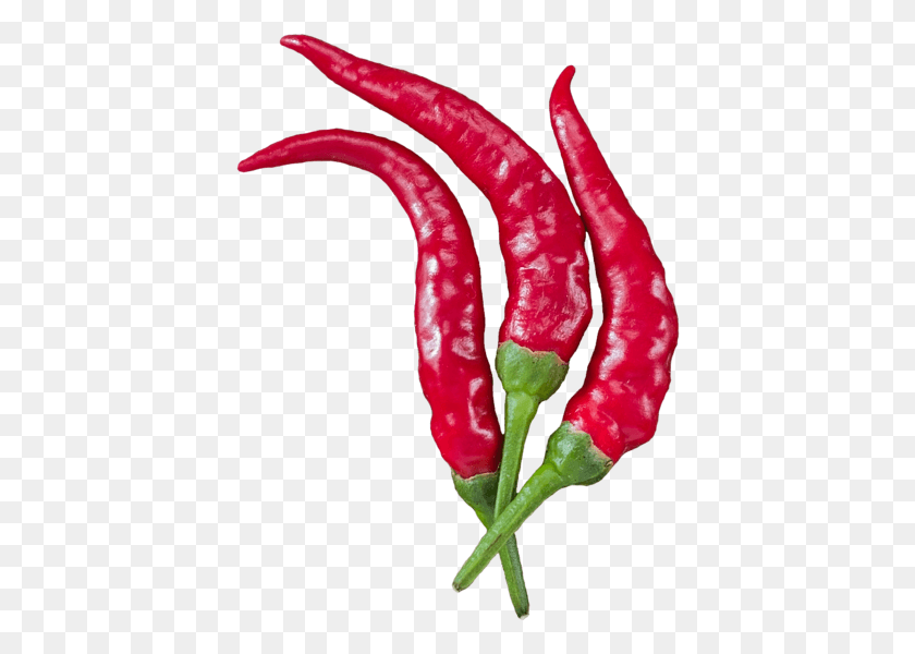 408x540 Click And Drag To Re Position The Image If Desired Serrano Pepper, Plant, Vegetable, Food HD PNG Download