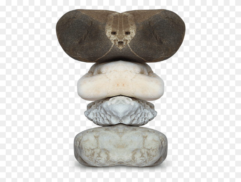 454x574 Click And Drag To Re Position The Image If Desired Stock Photography, Rock, Fungus, Bread HD PNG Download