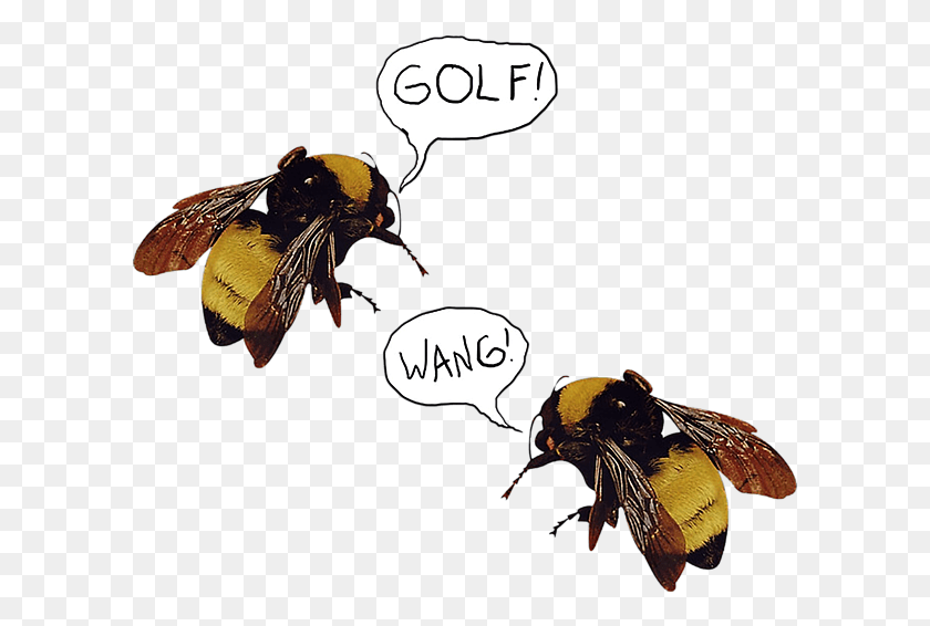 601x506 Click And Drag To Re Position The Image If Desired Tyler The Creator Bumblebee, Apidae, Bee, Insect HD PNG Download