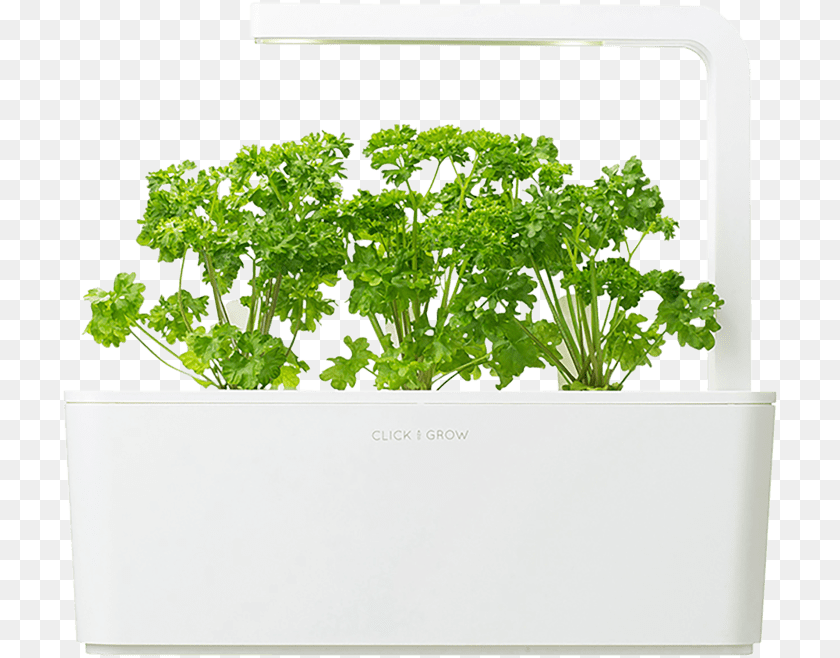 Click And Grow Smart Garden, Herbs, Parsley, Plant PNG