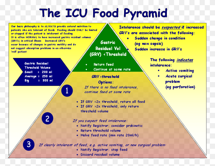 859x647 Click Here For A Larger Viewicu Food Pyramid Triangle, Flyer, Poster, Paper HD PNG Download