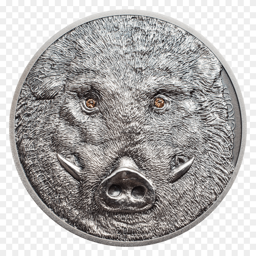 1024x1024 Click Here To Enlarge Wild Boar, Nickel, Coin, Money HD PNG Download