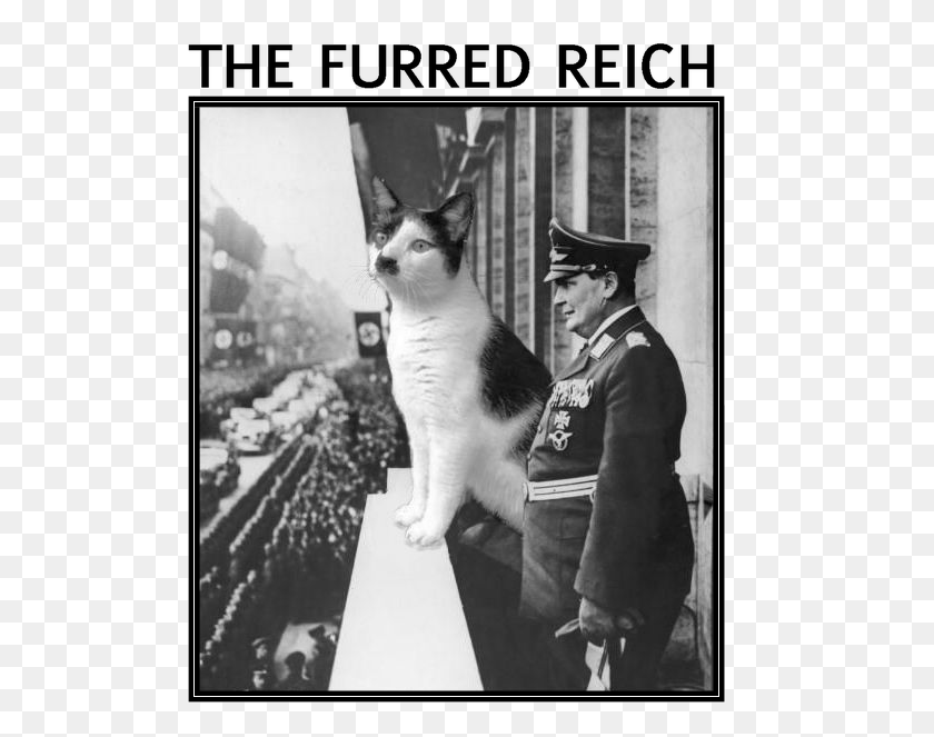 505x603 Click Here To Hitler And A Cat, Person, Pet, Mammal HD PNG Download