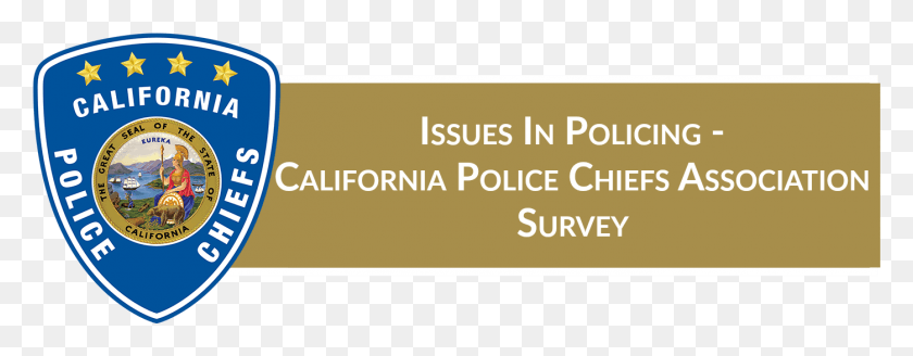 1398x481 Click Here To Take The 39Issues In Policing39 Survey Parallel, Text, Face, Paper Descargar Hd Png