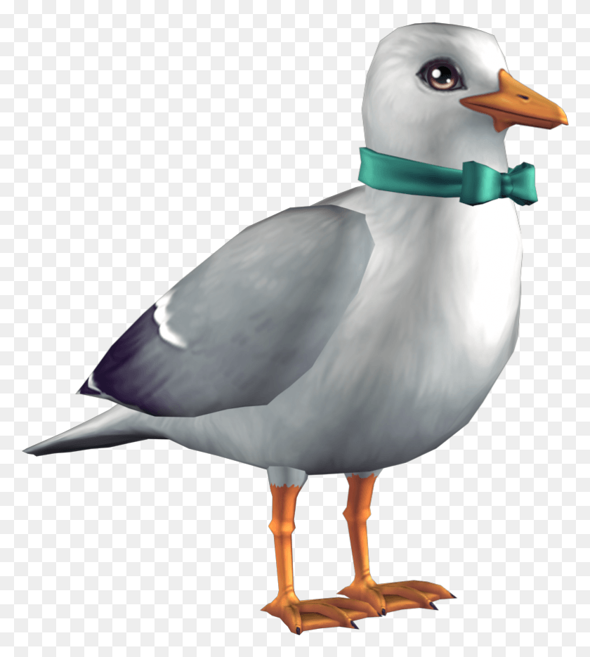 782x878 Click The Links To The Resources Star Stable Bird, Animal, Beak, Waterfowl HD PNG Download